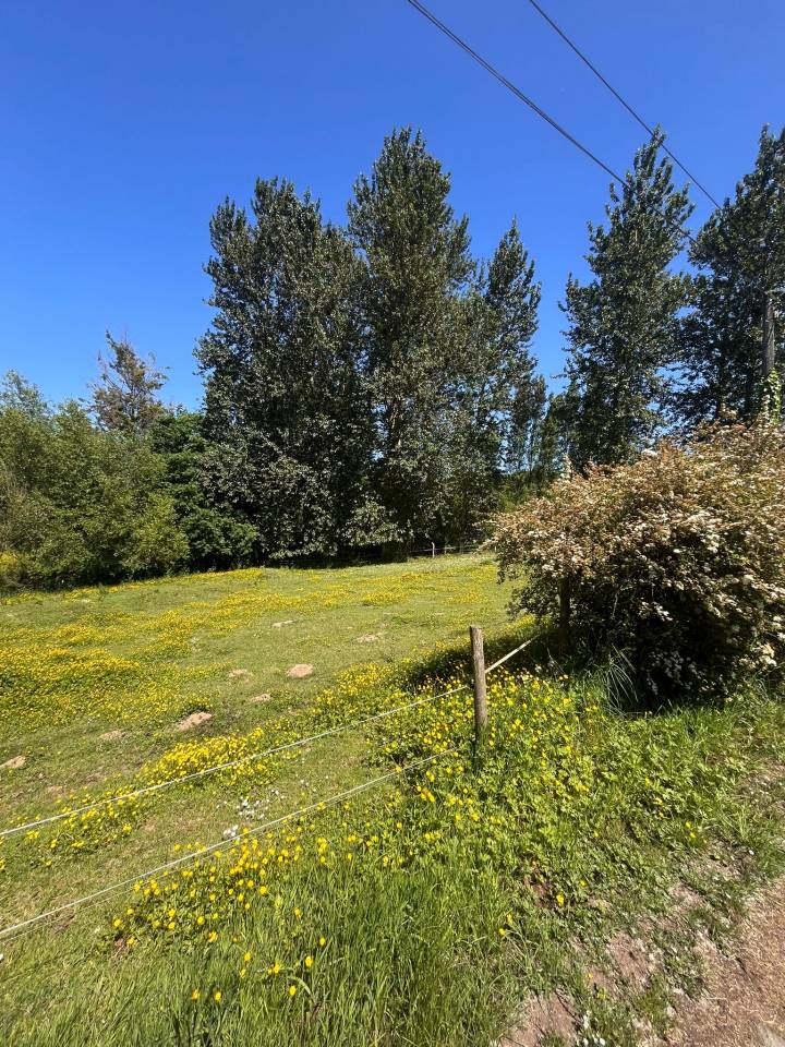 Hippisch vastgoed Koop Ile-et-Vilaine