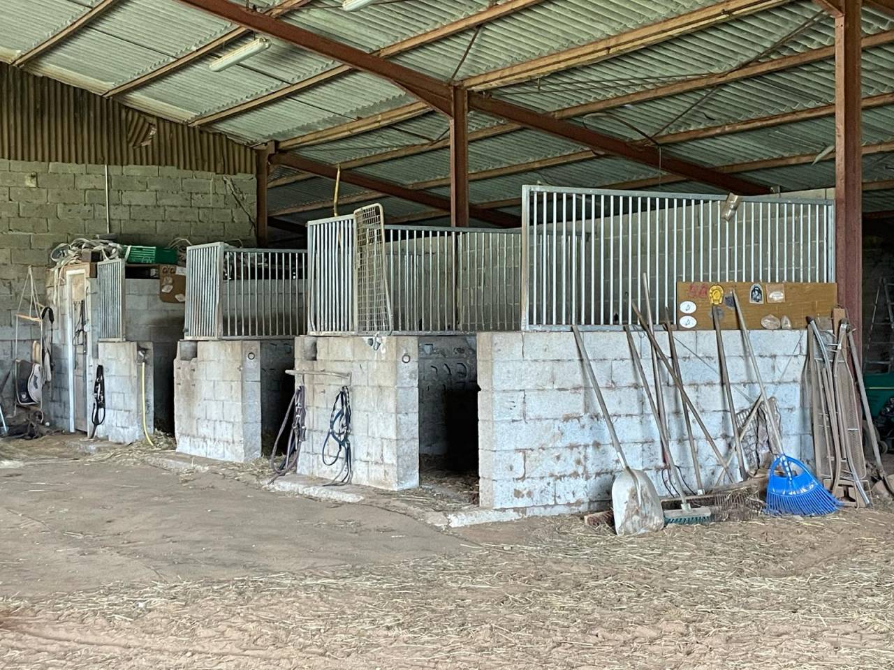 Hippisch vastgoed Koop Dordogne