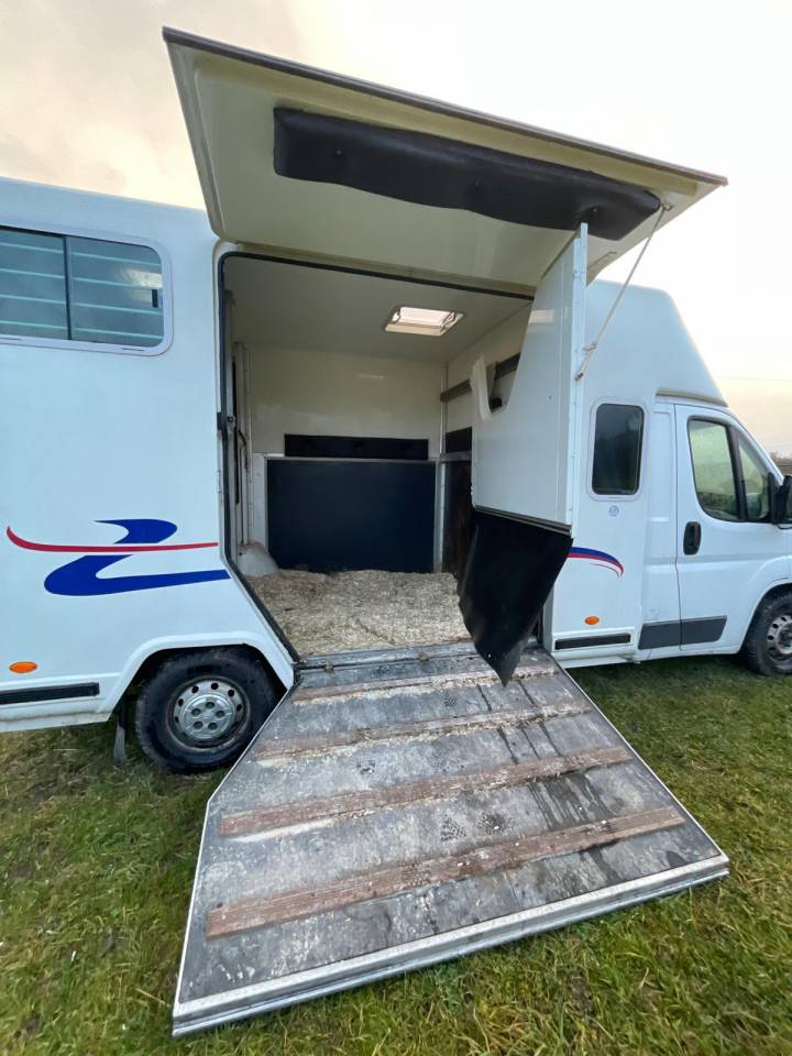 Kleine paardenvrachtwagen (B rijbewijs) Barbot  2011 Tweedehands