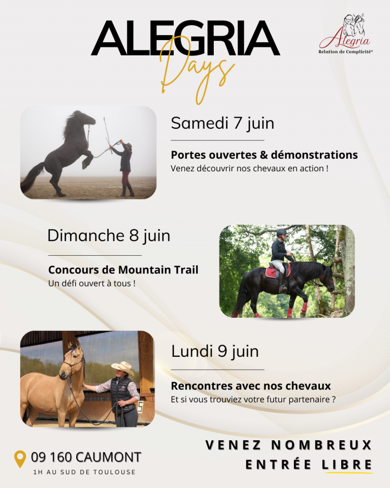 Merrie Mérens Te koop 2024 Zwart