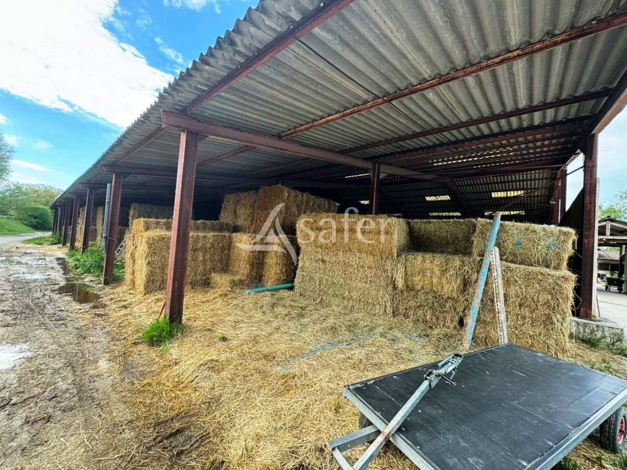 Hippisch vastgoed Koop Seine-et-Marne