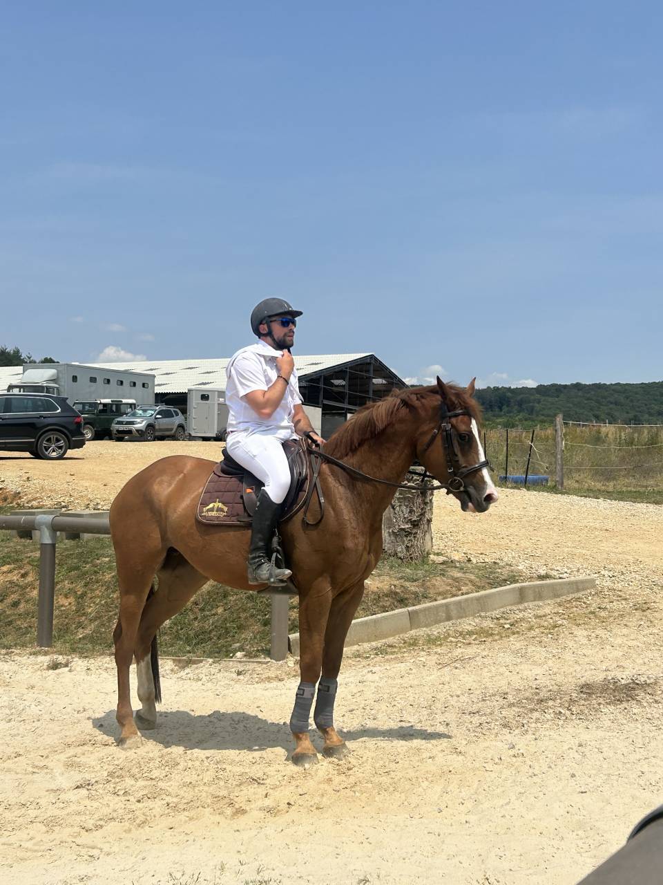 Merrie Bekend ras Te koop 2018 Vos ,  baladin de Flobecq