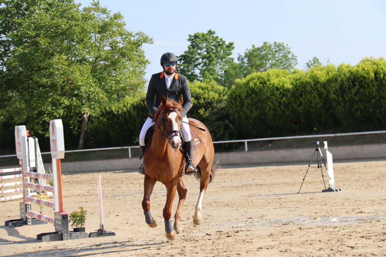 Merrie Bekend ras Te koop 2018 Vos ,  baladin de Flobecq