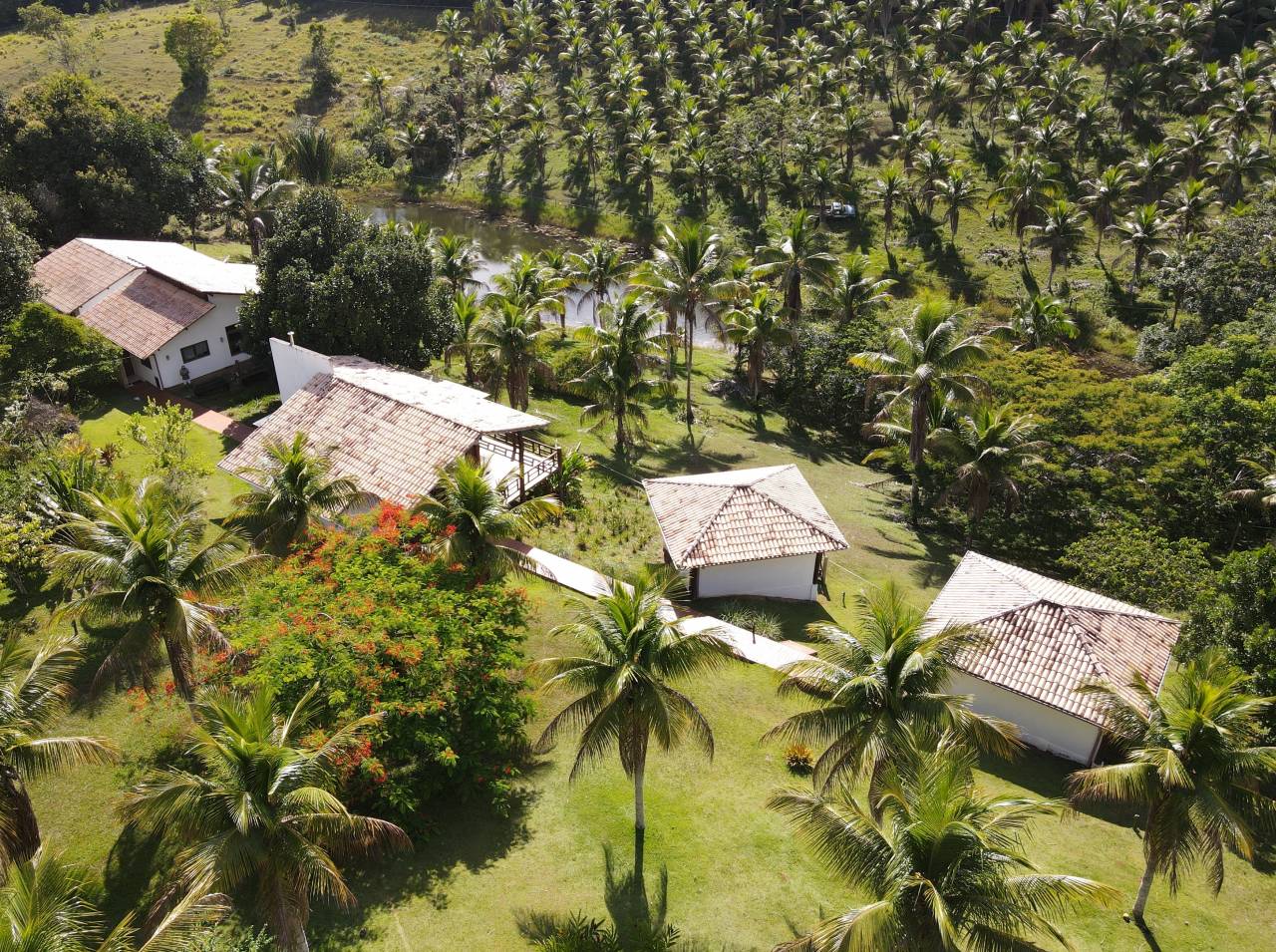 Paarden boerderij Koop 