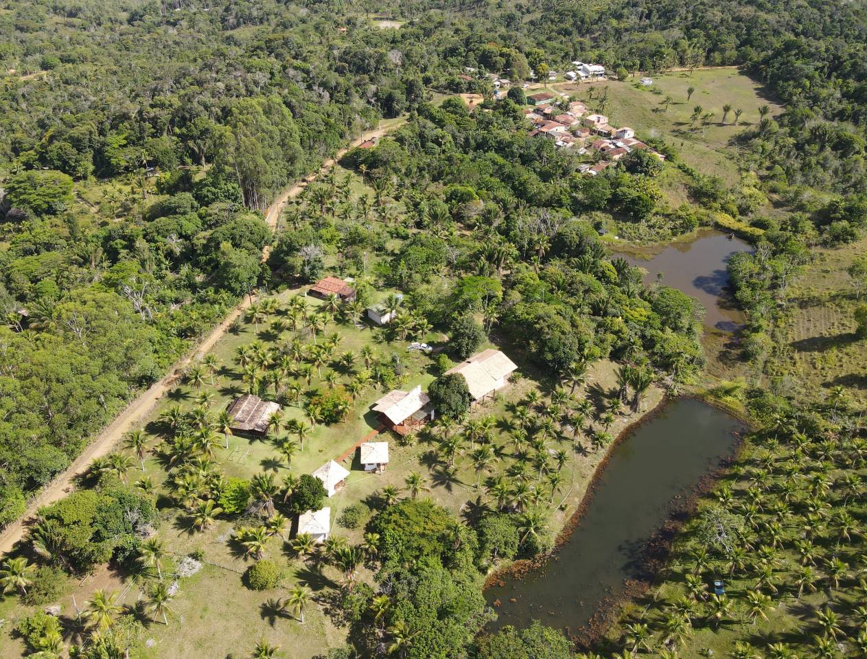Paarden boerderij Koop 
