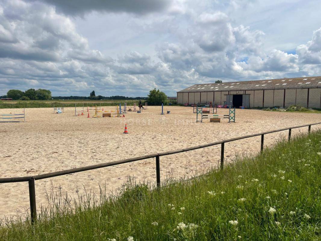 Stoeterij Koop Essonne