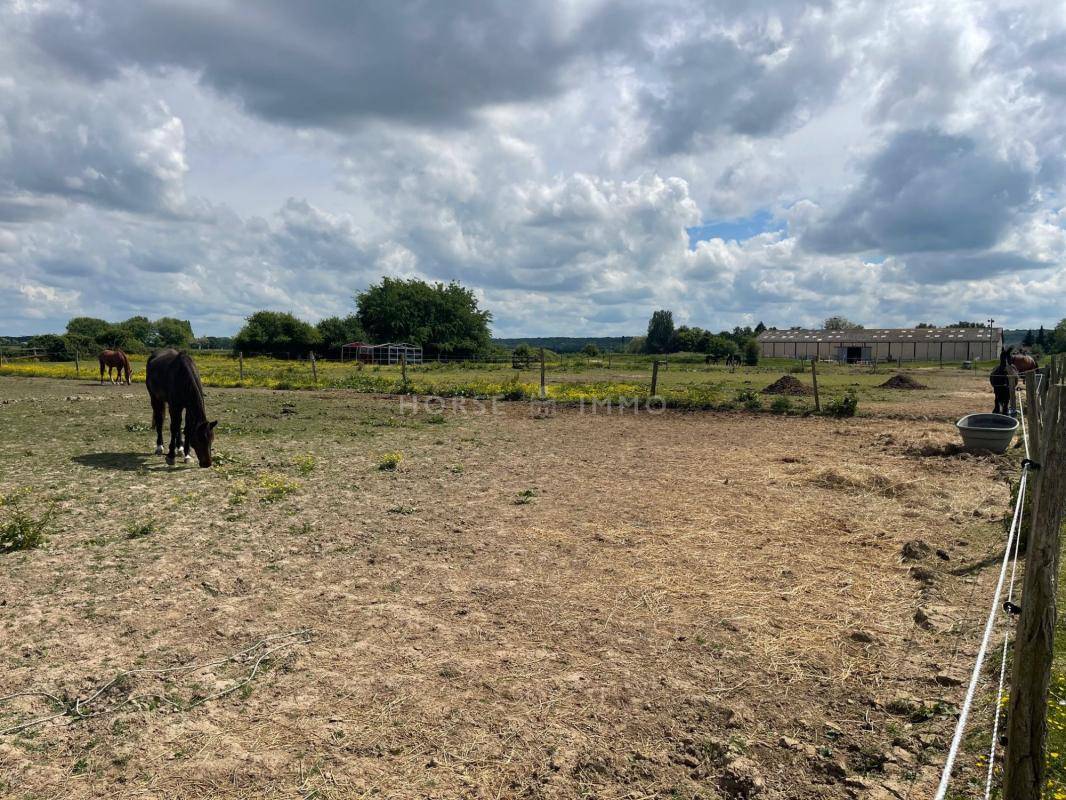 Stoeterij Koop Essonne