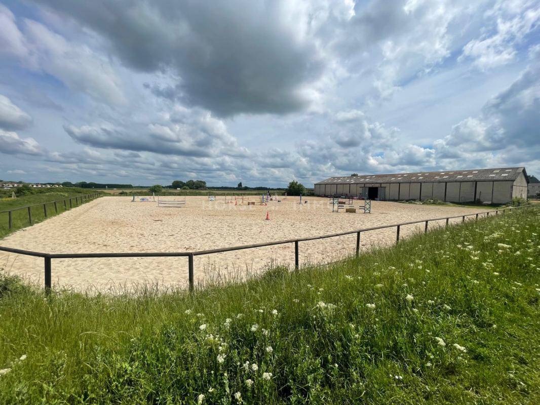 Stoeterij Koop Essonne