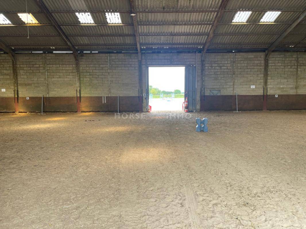 Stoeterij Koop Essonne