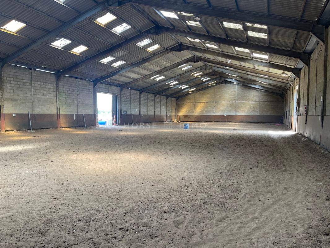 Stoeterij Koop Essonne