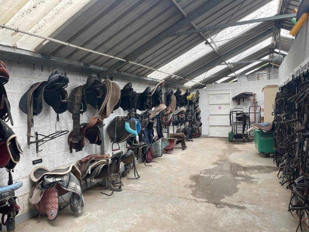 Stoeterij Koop Essonne