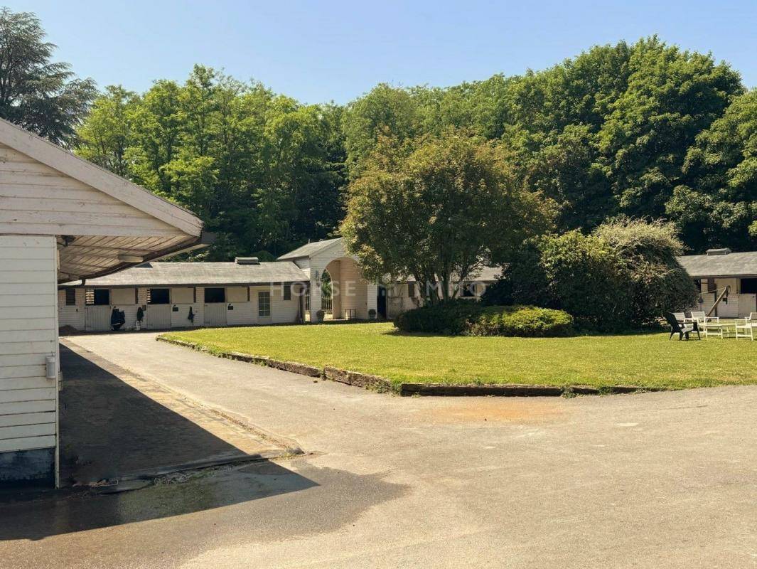 Stoeterij Koop Seine-et-Marne