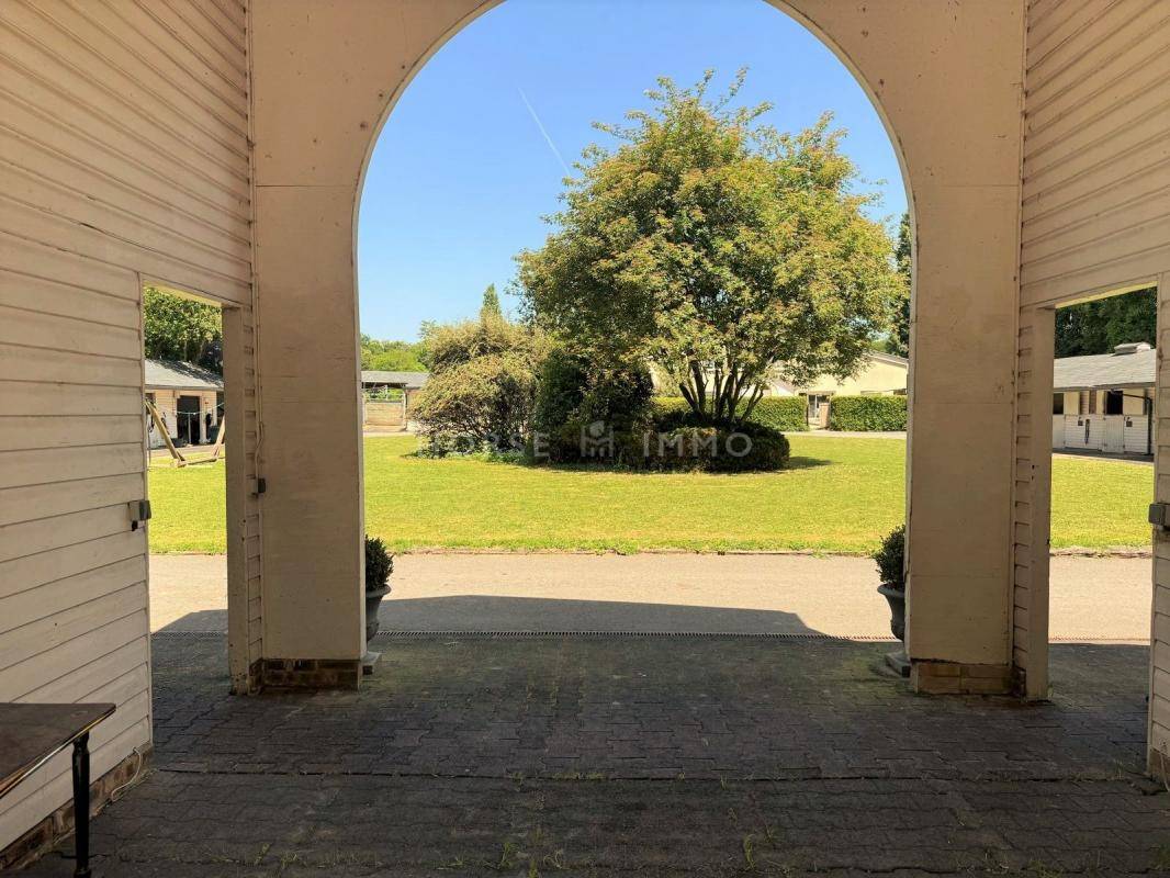 Stoeterij Koop Seine-et-Marne