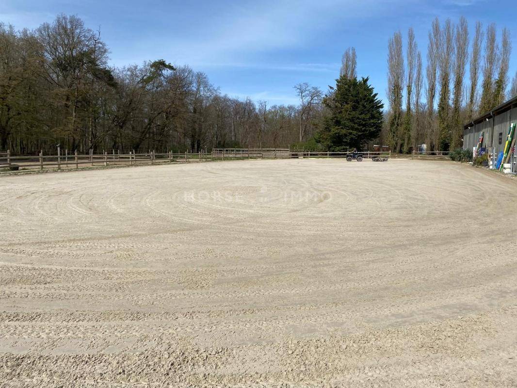 Stoeterij Koop Seine-et-Marne