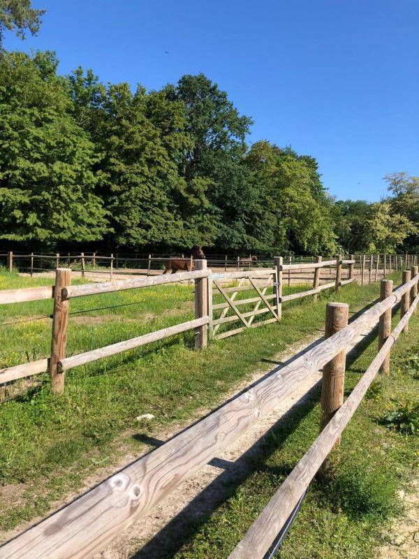 Stoeterij Koop Seine-et-Marne