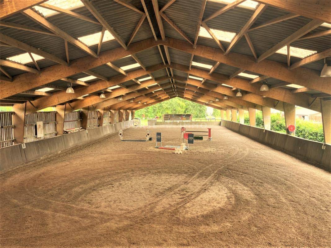 Stoeterij Koop Seine-et-Marne