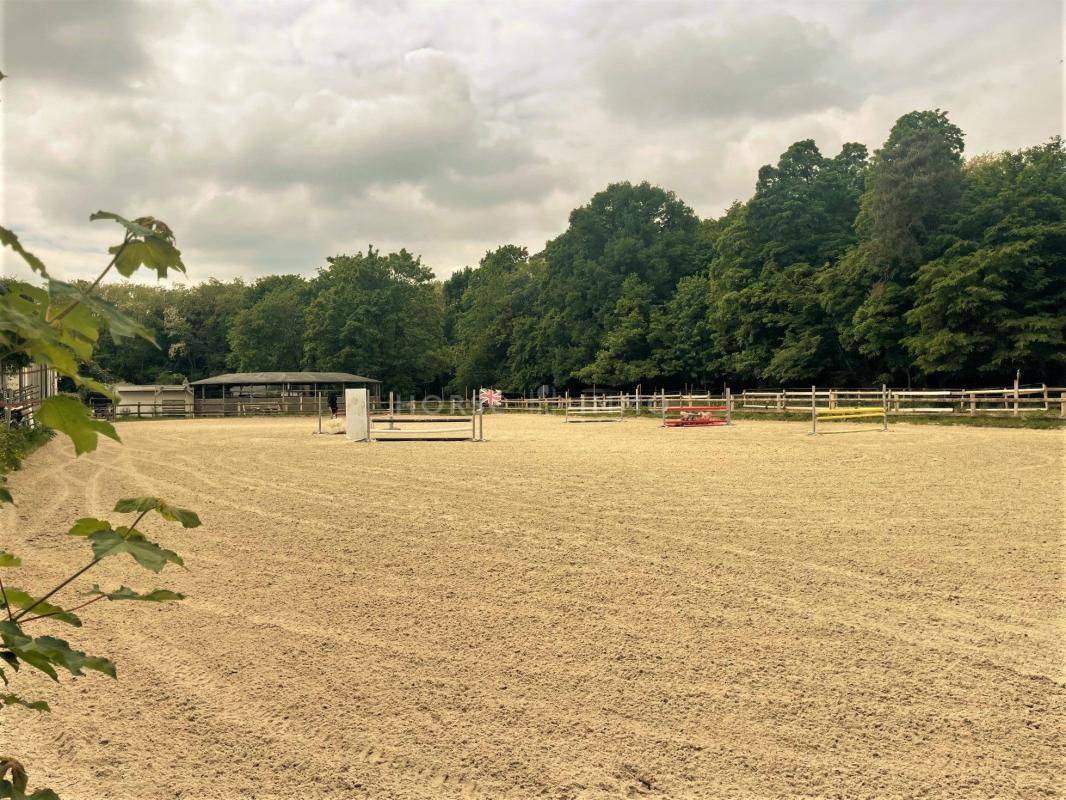 Stoeterij Koop Seine-et-Marne