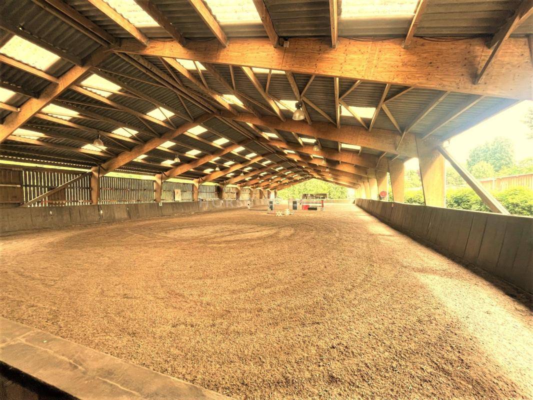 Stoeterij Koop Seine-et-Marne