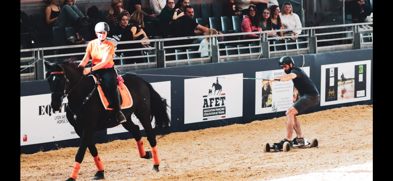 Ruin PRE Puur Ras Spaans Te koop 2014 Zwart ,  FRESCACHON II