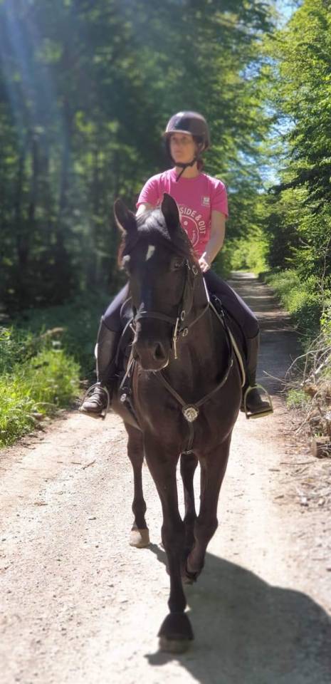 Ruin PRE Puur Ras Spaans Te koop 2014 Zwart ,  FRESCACHON II