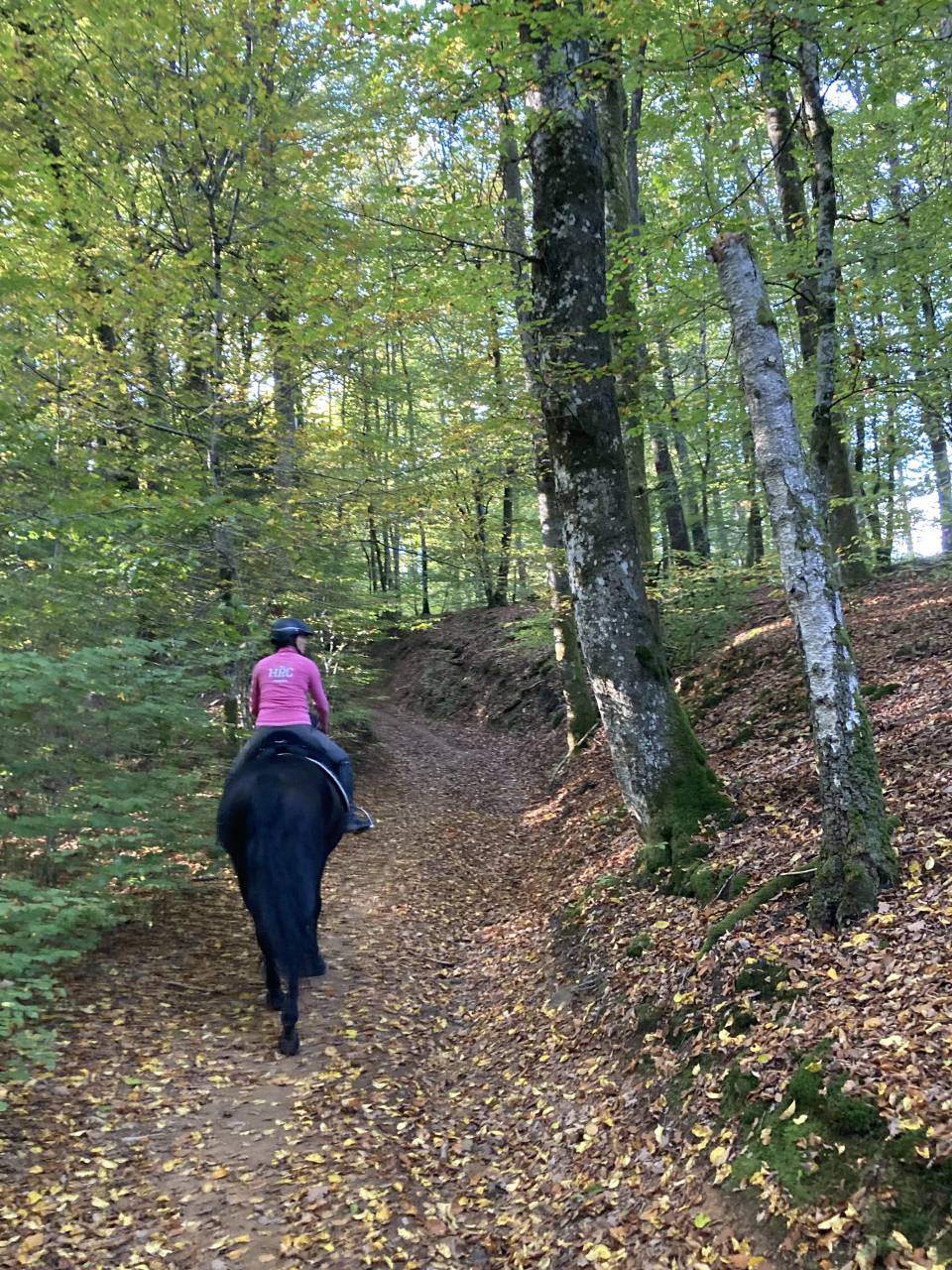 Ruin PRE Puur Ras Spaans Te koop 2014 Zwart ,  FRESCACHON II