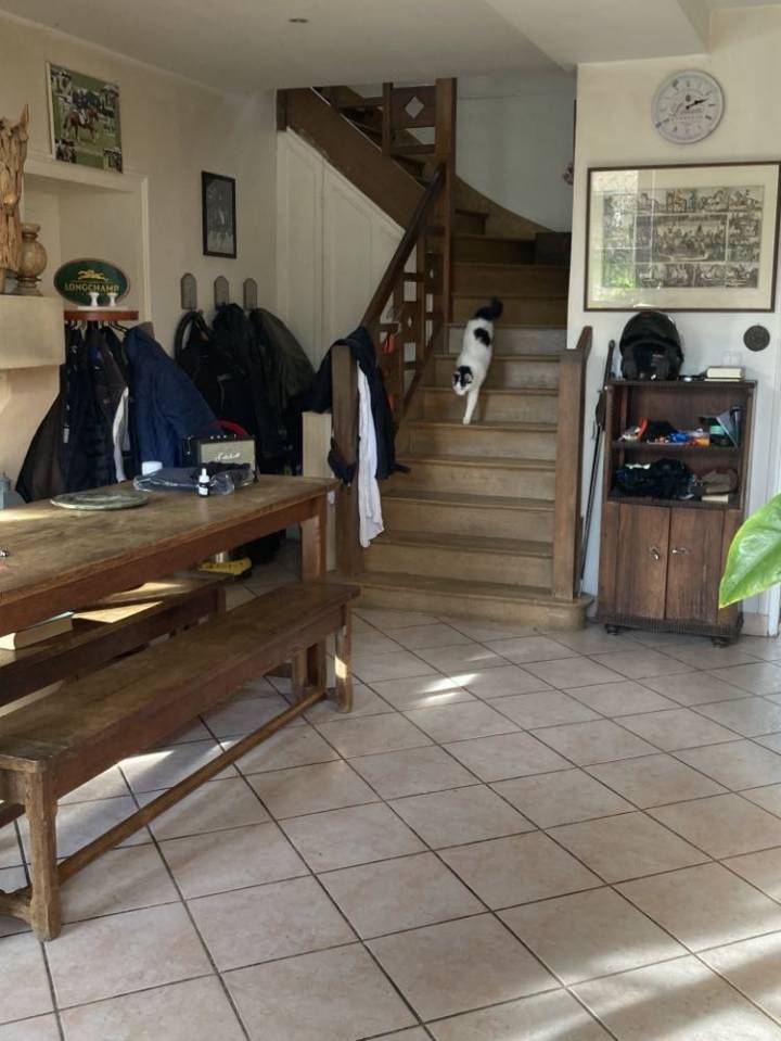 Paarden boerderij Koop Eure-et-Loir