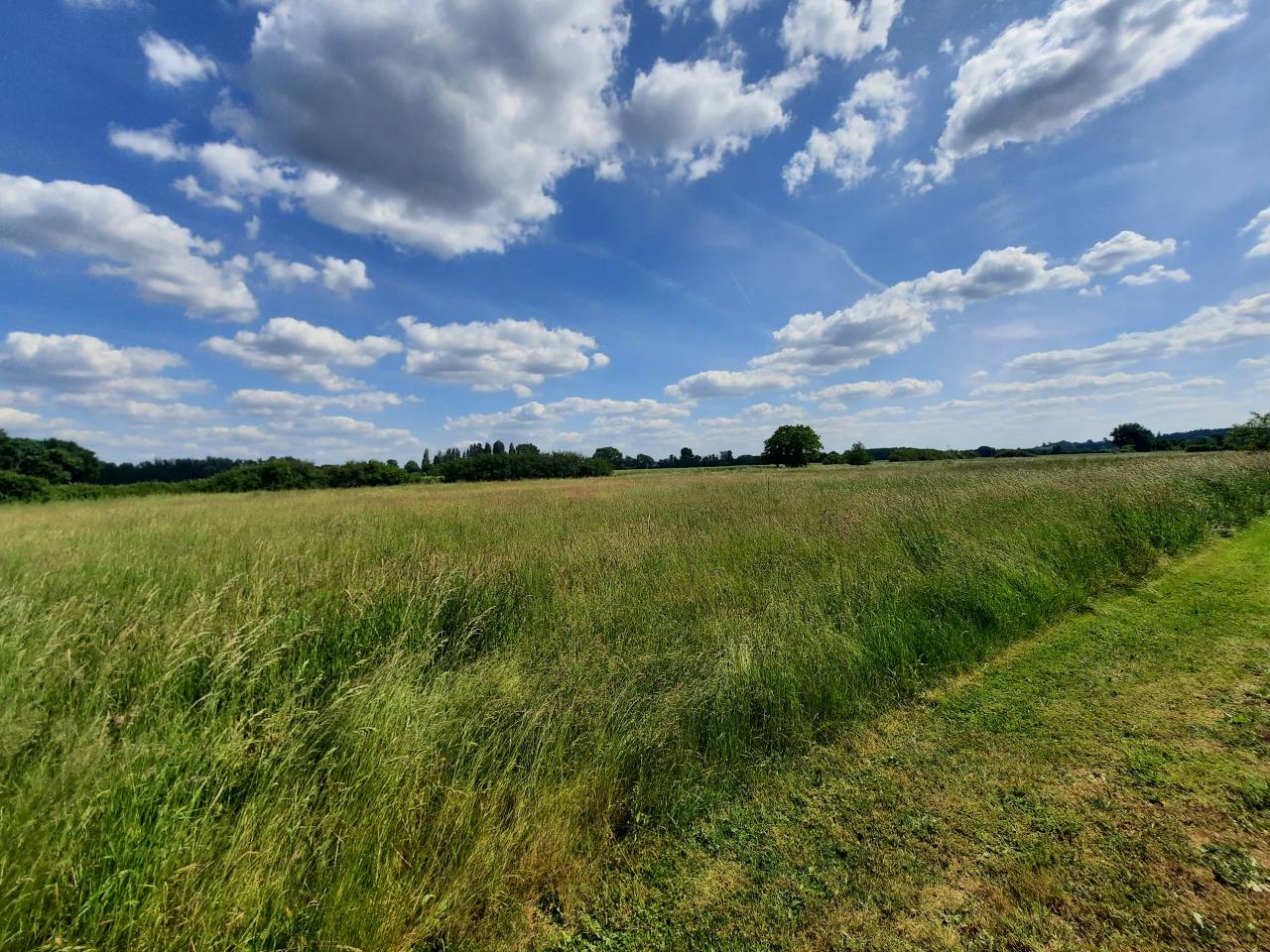 Hippisch vastgoed Koop Cher