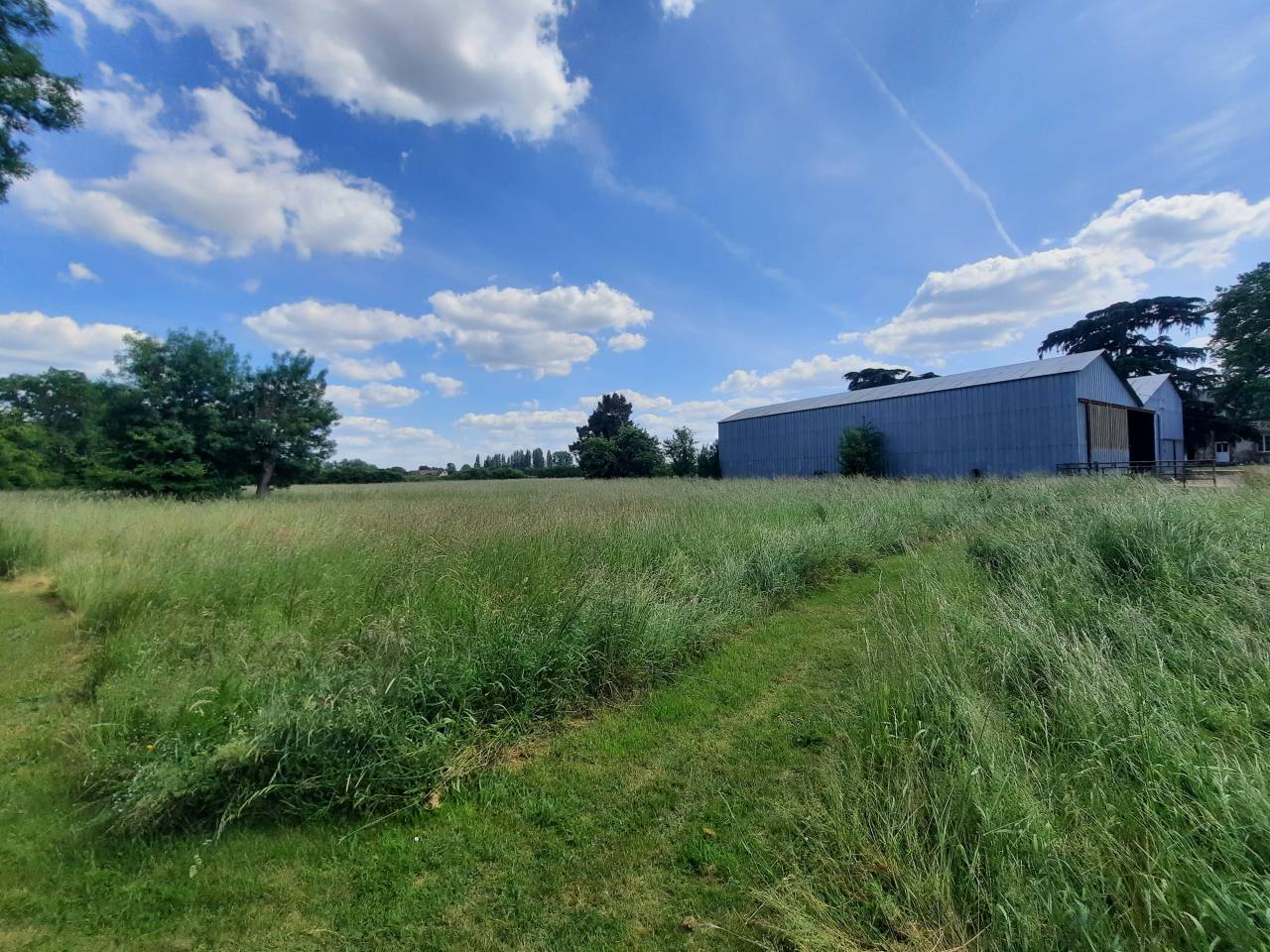 Hippisch vastgoed Koop Cher