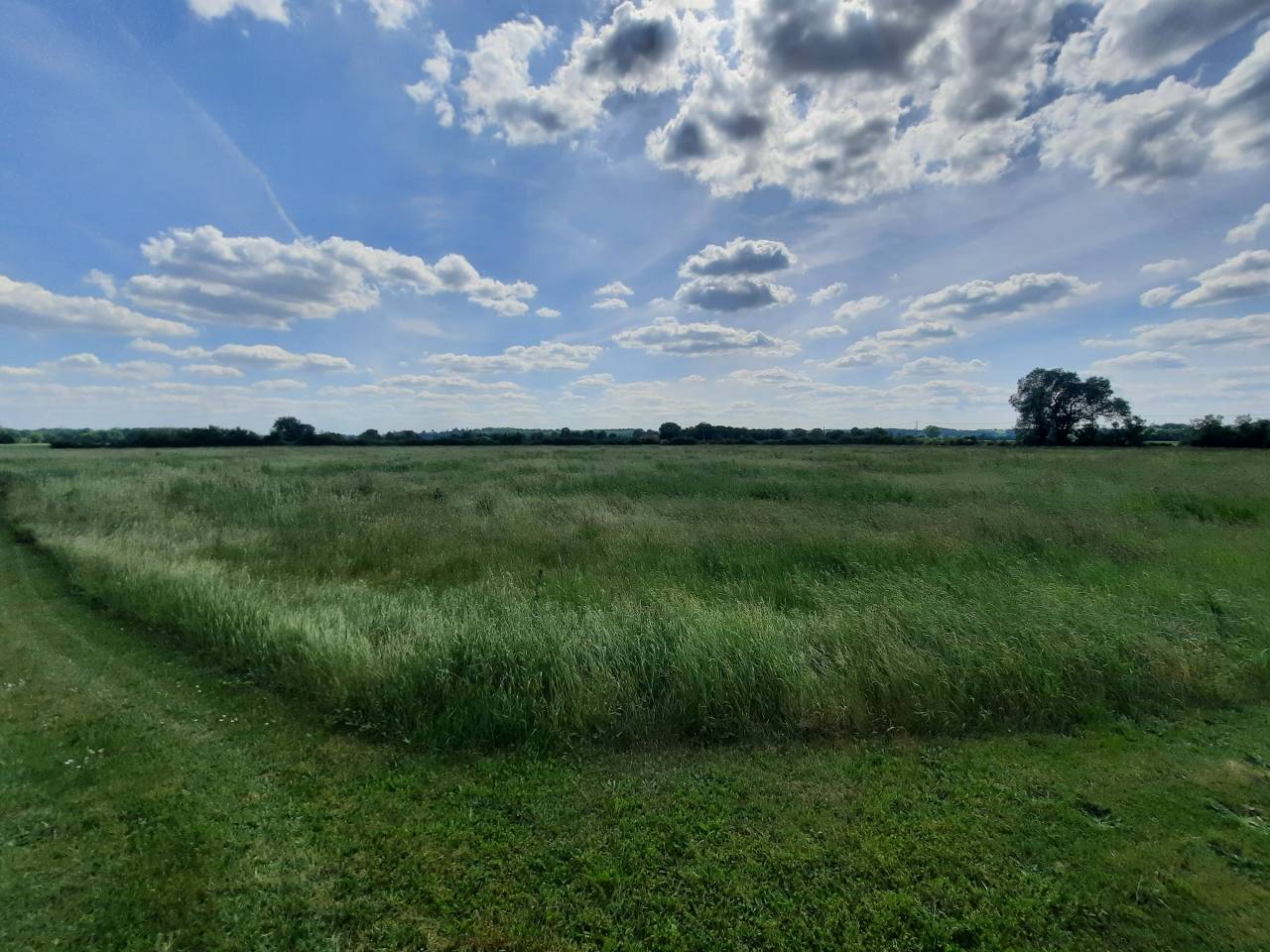 Hippisch vastgoed Koop Cher