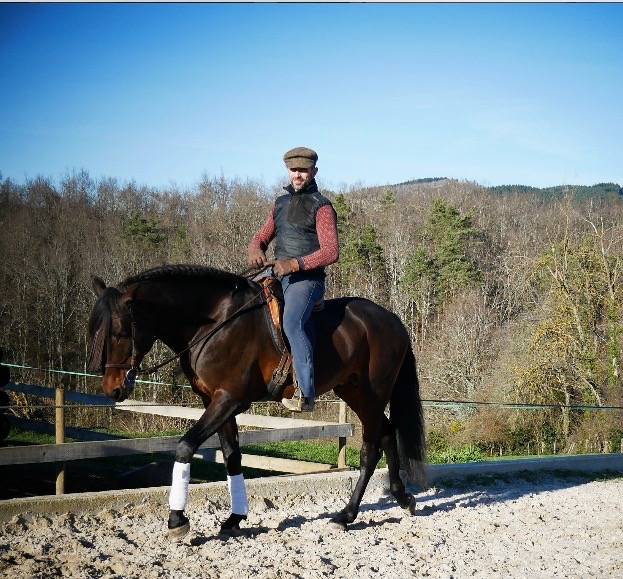 Ruin Lusitano Te koop 2015 Donker bruin / bai ,  SOLERA