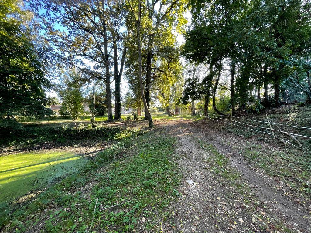 Hippisch vastgoed Koop Cher