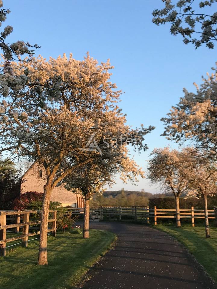 Hippisch vastgoed Koop Calvados