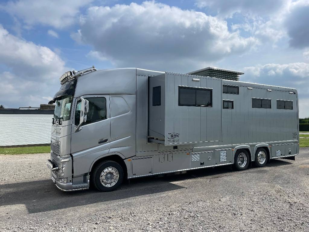 Zware paardenvrachtwagen (groot rijbewijs) STX FH540 2019 Tweedehands