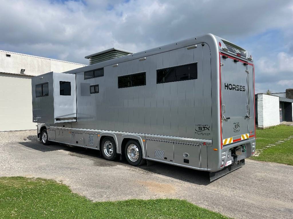 Zware paardenvrachtwagen (groot rijbewijs) STX FH540 2019 Tweedehands