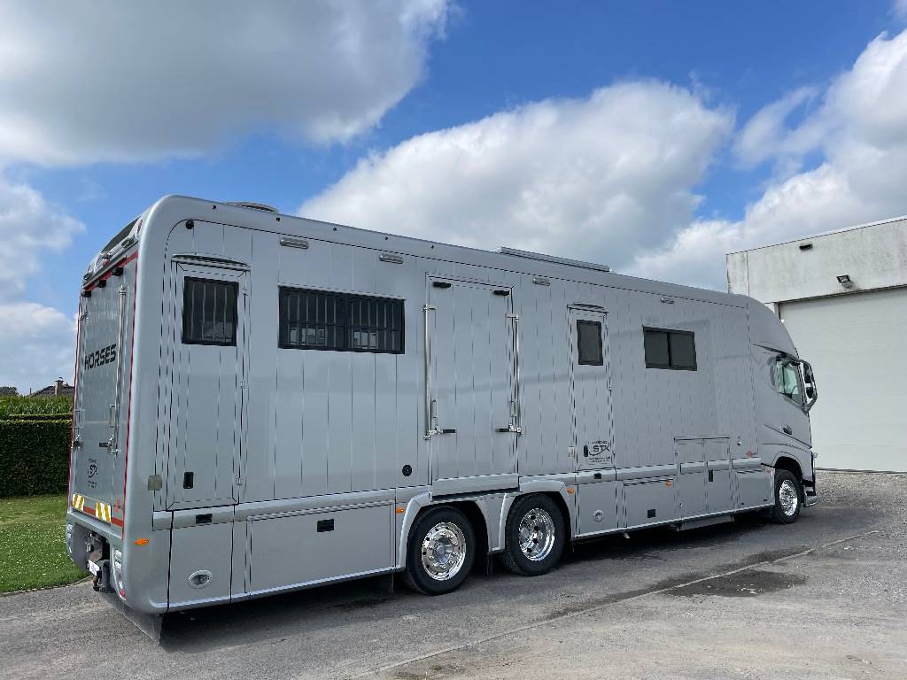 Zware paardenvrachtwagen (groot rijbewijs) STX FH540 2019 Tweedehands
