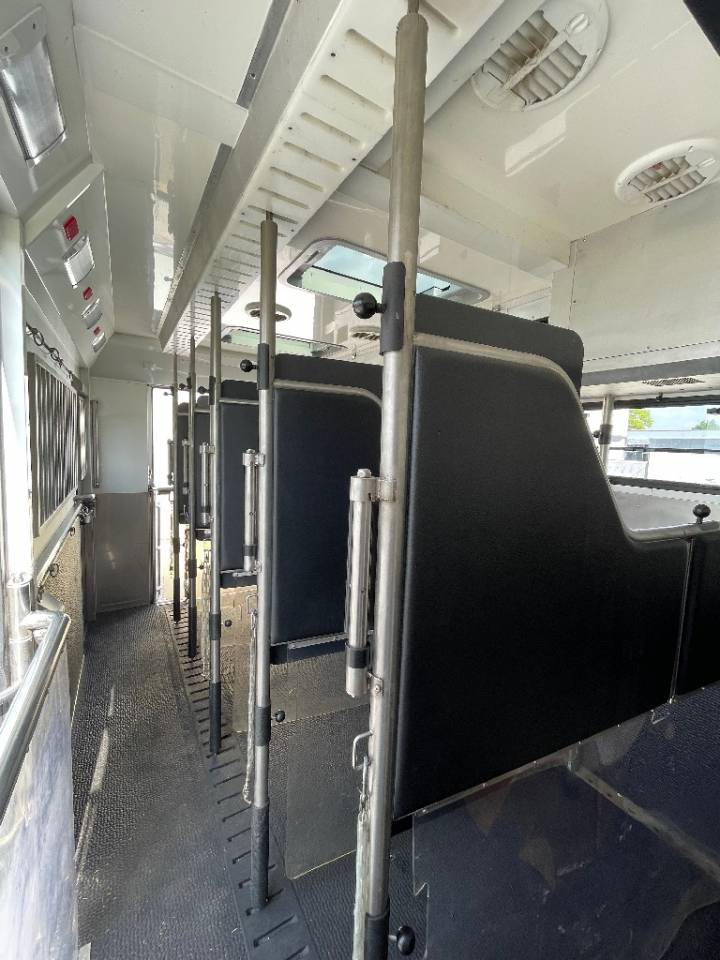 Zware paardenvrachtwagen (groot rijbewijs) STX FH540 2019 Tweedehands