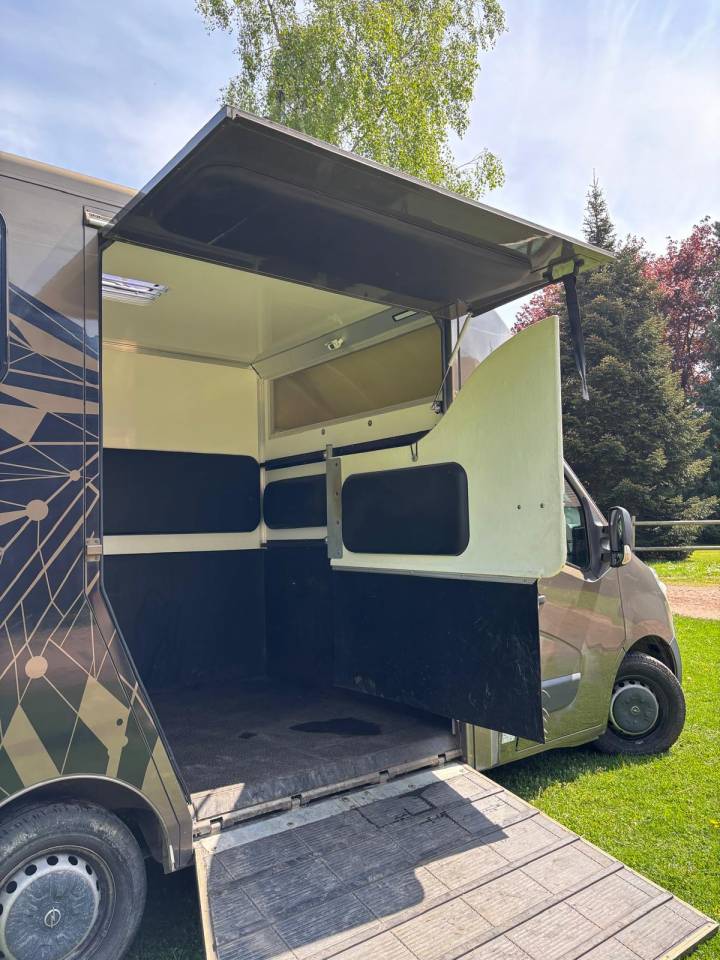 Kleine paardenvrachtwagen (B rijbewijs) Cavalcar OPEL 2018 Tweedehands