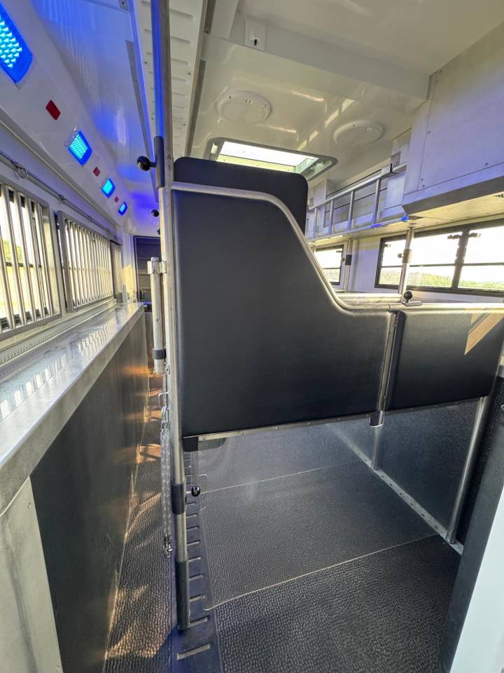 Zware paardenvrachtwagen (groot rijbewijs) STX SCANIA 2020 Tweedehands