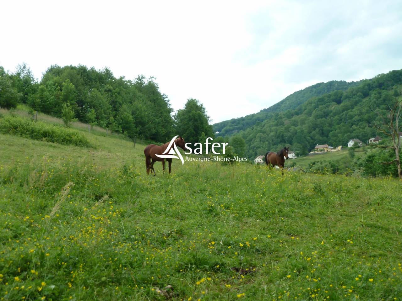 Hippisch vastgoed Koop Savoie