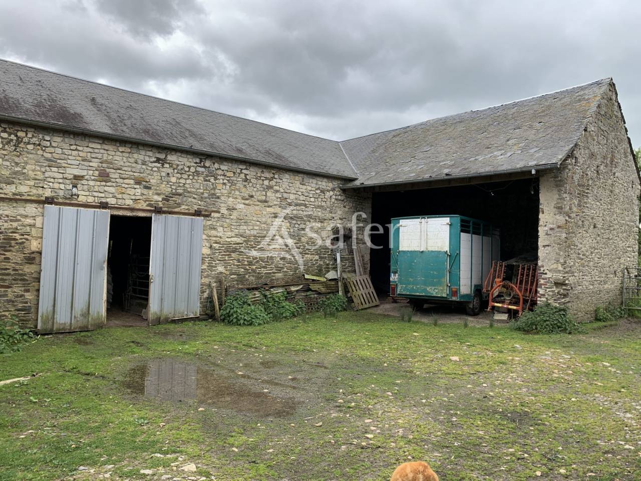 Bos exploitatie Koop Calvados