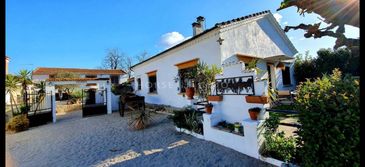 Hippisch vastgoed Koop Gard