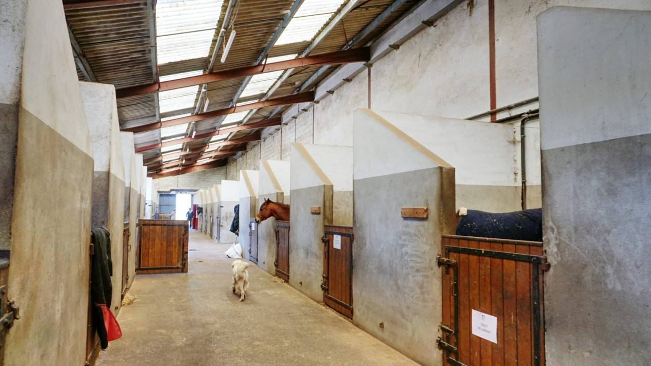 Paarden accommodatie Koop Nièvre