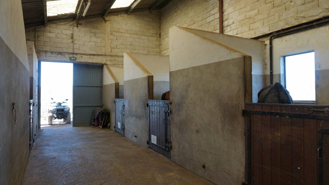 Paarden accommodatie Koop Nièvre