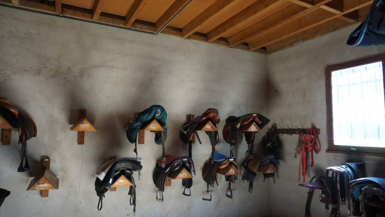 Paarden accommodatie Koop Nièvre