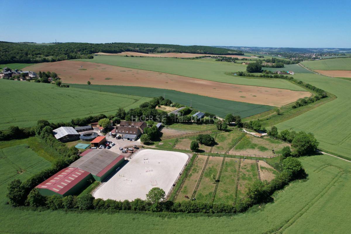 Stoeterij Koop Yonne