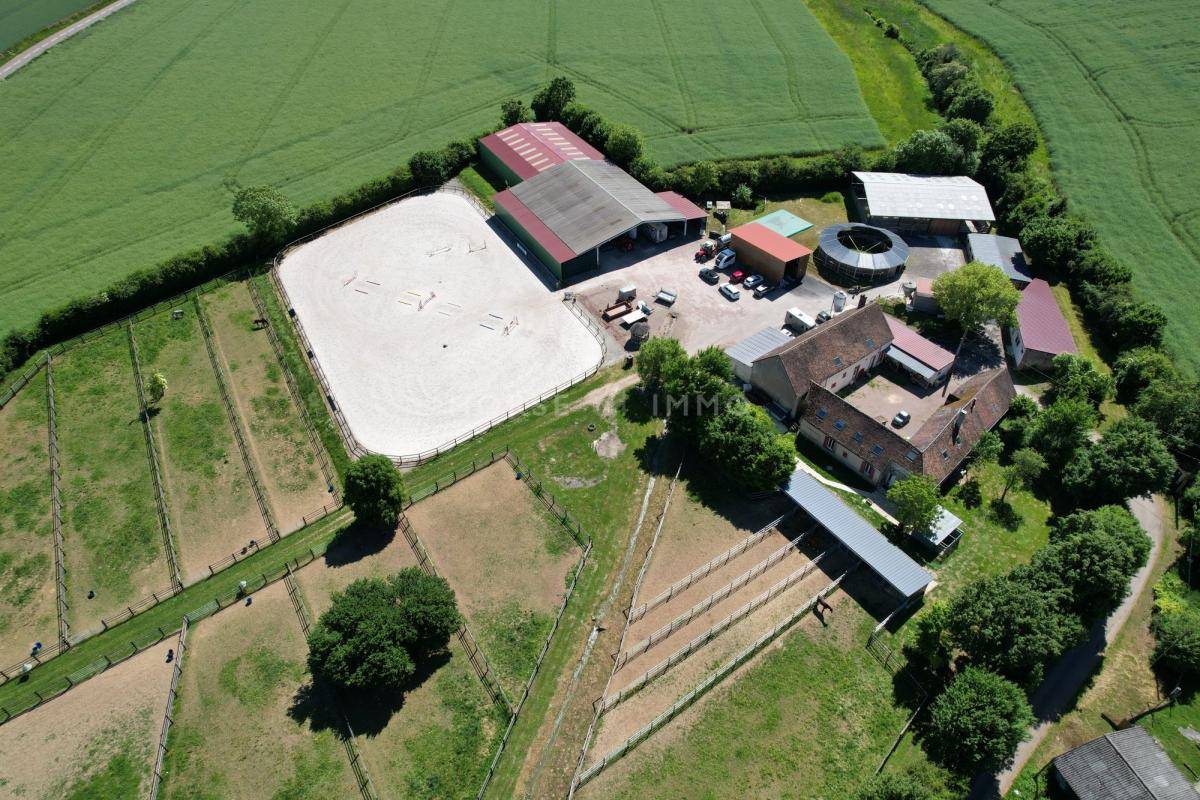 Stoeterij Koop Yonne