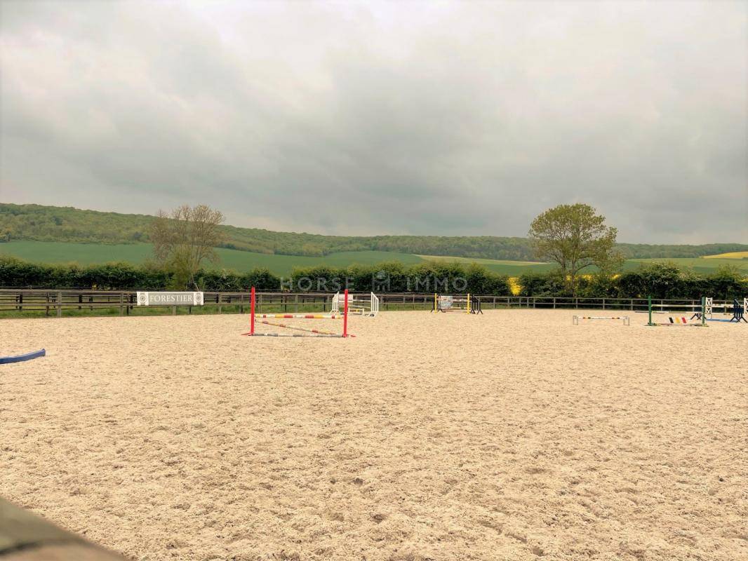 Stoeterij Koop Yonne