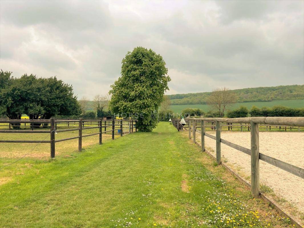 Stoeterij Koop Yonne