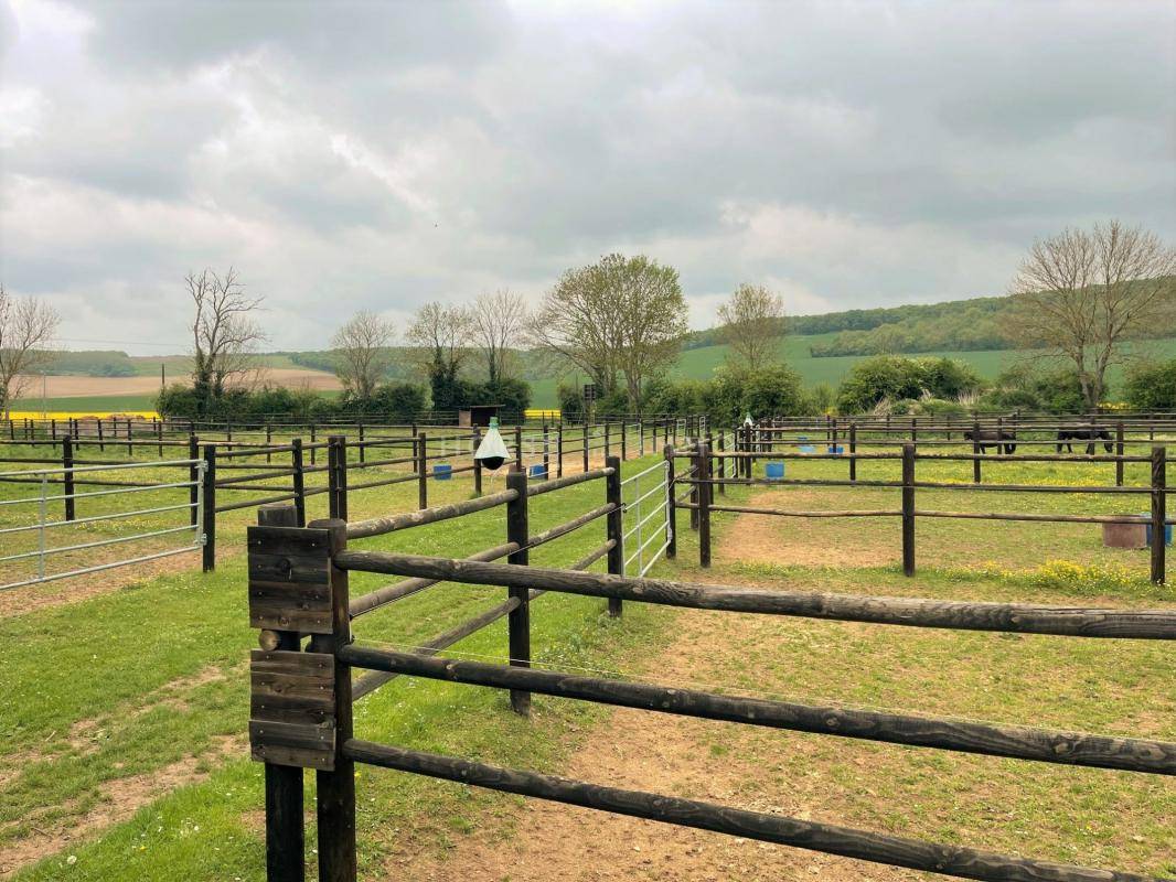 Stoeterij Koop Yonne