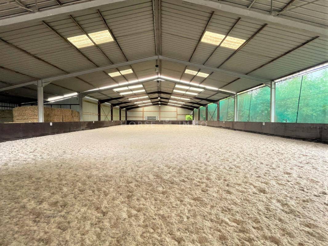 Stoeterij Koop Yonne